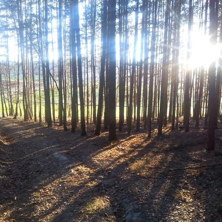 Ferienwohnung Landliebe Rudolstadt Kültér fotó